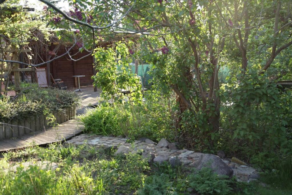 Ferienwohnung In Peetzig Am See Angermunde Exteriör bild