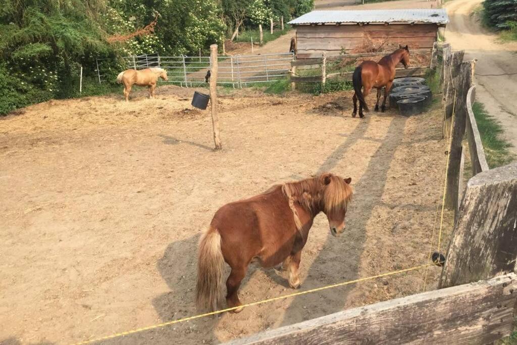 Ferienwohnung In Peetzig Am See Angermunde Exteriör bild