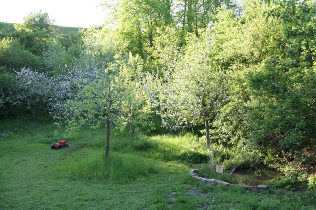 Ferienwohnung In Peetzig Am See Angermunde Exteriör bild